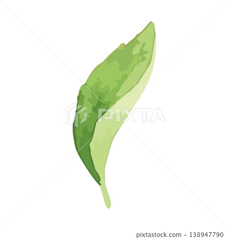 茶葉的水彩風格插圖 茶葉的水彩風格插圖 138947790