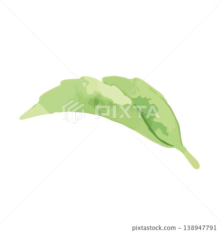 Watercolor-style illustration of tea leaves Watercolor-style illustration of tea leaves 138947791