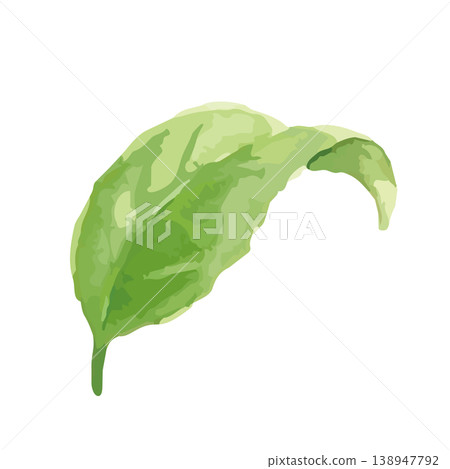 Watercolor-style illustration of tea leaves Watercolor-style illustration of tea leaves 138947792
