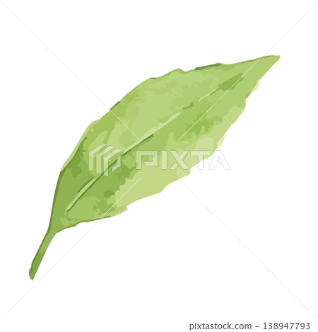 Watercolor-style illustration of tea leaves Watercolor-style illustration of tea leaves 138947793