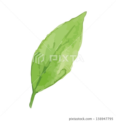 Watercolor-style illustration of tea leaves Watercolor-style illustration of tea leaves 138947795