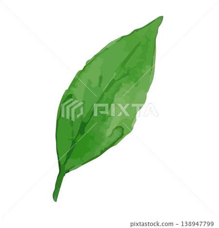 茶葉的水彩風格插圖 茶葉的水彩風格插圖 138947799