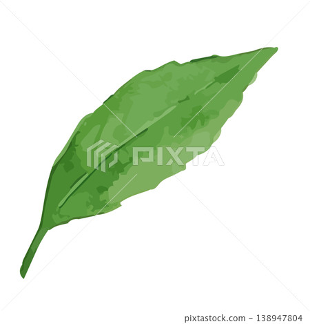 Watercolor-style illustration of tea leaves Watercolor-style illustration of tea leaves 138947804
