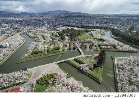 五棱郭公園的櫻花 138948302