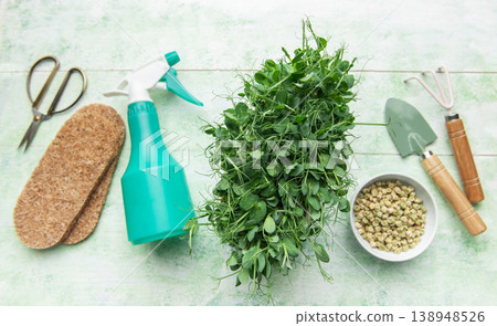 Growing pea microgreens with gardening tools and seeds Growing pea microgreens with gardening tools and seeds 138948526