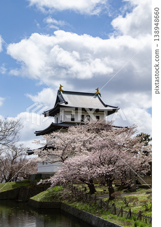 松前公園的櫻花 松前公園的櫻花 138948660