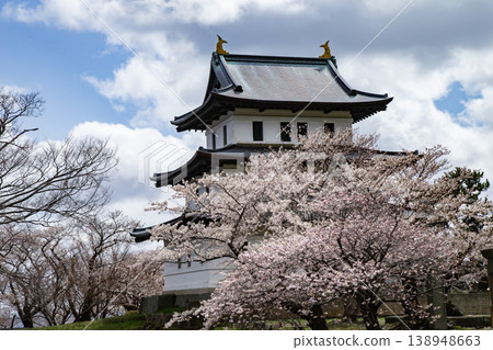 松前公園的櫻花 松前公園的櫻花 138948663
