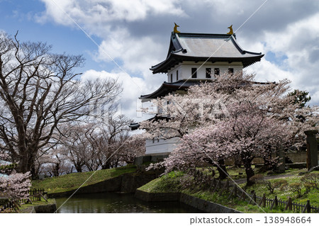 松前公園的櫻花 松前公園的櫻花 138948664