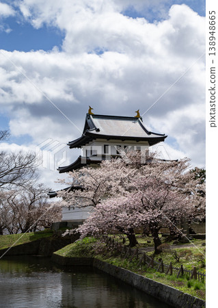 松前公園的櫻花 松前公園的櫻花 138948665