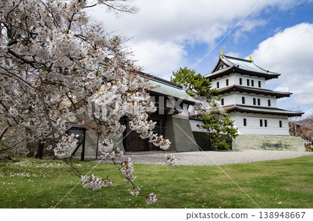 松前公園的櫻花 138948667