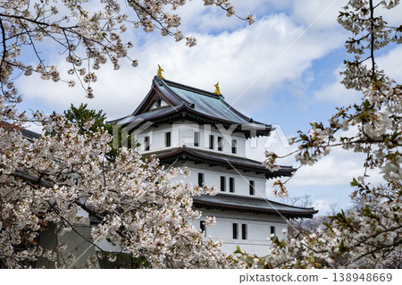 Cherry blossoms at Matsumae Park Cherry blossoms at Matsumae Park 138948669