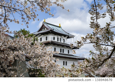 Cherry blossoms at Matsumae Park Cherry blossoms at Matsumae Park 138948670