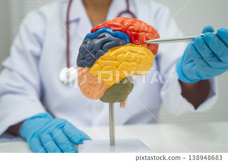 Alzheimer disease, Asian doctor holding brain anatomy model for study diagnosis and treatment in hospital. Alzheimer disease, Asian doctor holding brain anatomy model for study diagnosis and treatment in hospital. 138948683