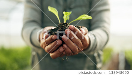 Farmer hands, plants and gardening soil in sustainability, eco friendly farming and vegetables in agriculture. Worker or Person palm with sprout, growth and fertilizer for agro project in greenhouse Farmer hands, plants and gardening soil in sustainability, eco friendly farming and vegetables in agriculture. Worker or Person palm with sprout, growth and fertilizer for agro project in greenhouse 138948690