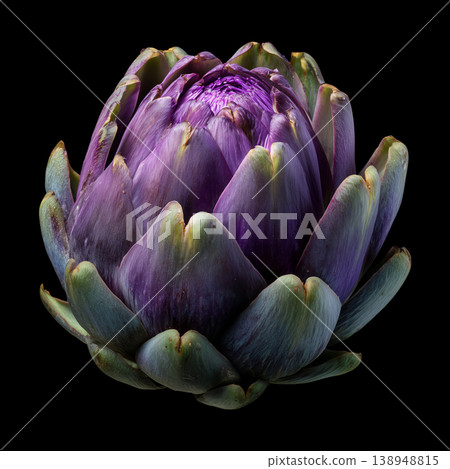 Purple artichoke isolated on black background with clipping path Purple artichoke isolated on black background with clipping path 138948815