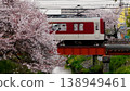 A train running along a row of cherry trees. 138949461