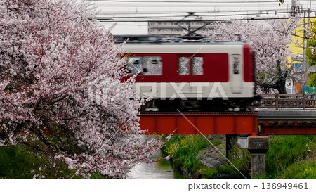 A train running along a row of cherry trees. A train running along a row of cherry trees. 138949461