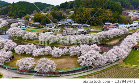 春日鄉村景色:蜿蜒的河流和一排盛開的櫻花樹。 春日鄉村景色:蜿蜒的河流和一排盛開的櫻花樹。 138949471