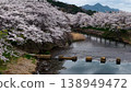 The river flows and cherry trees are in full bloom, close to the water's surface. 138949472