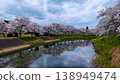 A row of cherry trees in full bloom reflected on the water's surface, creating a fantastical reflection. 138949474