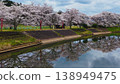 Cherry blossoms in full bloom reflected on the surface of the water 138949475
