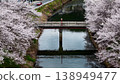 A landscape with cherry trees and a bridge. 138949477