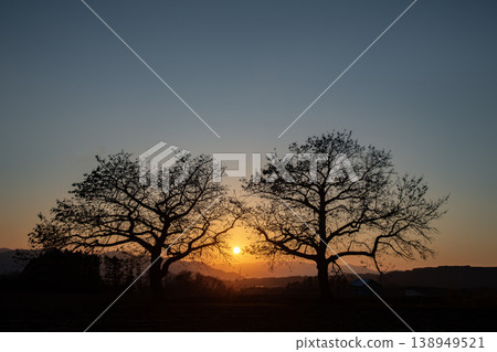 The Married Couple's Tree The Married Couple's Tree 138949521