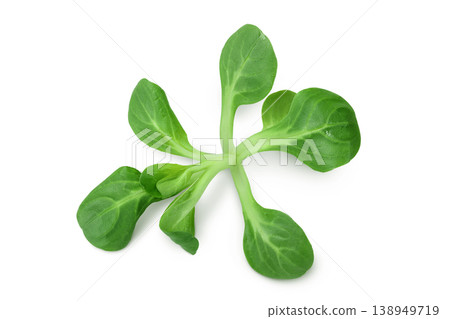 Valerian leaves salad. Corn salad isolated on white backgrounds. Lettuce salad. Top view 138949719