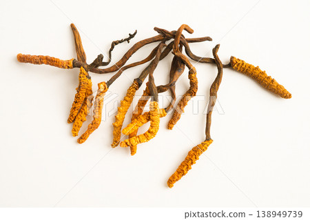 Cordyceps sinensis or Ophiocordyceps sinensis. Cordyceps sinensis or Ophiocordyceps sinensis. 138949739