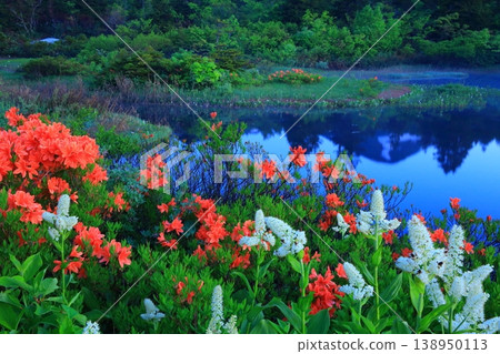 The inverted Hakkoda Mountains reflected in the pond The inverted Hakkoda Mountains reflected in the pond 138950113