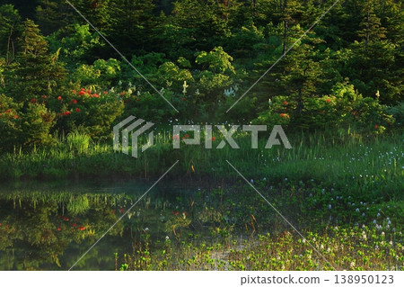 The inverted Hakkoda Mountains reflected in the pond The inverted Hakkoda Mountains reflected in the pond 138950123
