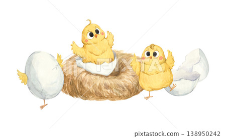 A sweet watercolor illustration of chicks in a nest 138950242