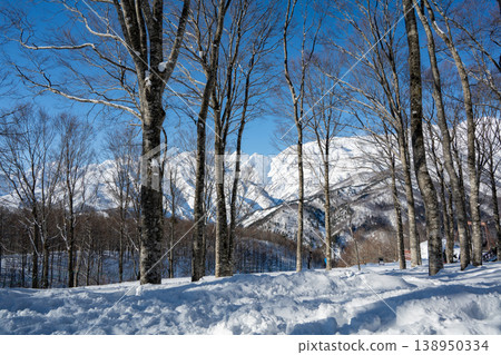 Ski resort, slope scenery, snowfield, Hakuba Village, Nagano Prefecture Ski resort, slope scenery, snowfield, Hakuba Village, Nagano Prefecture 138950334
