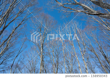 Ski resort, slope scenery, snowfield, Hakuba Village, Nagano Prefecture Ski resort, slope scenery, snowfield, Hakuba Village, Nagano Prefecture 138950343