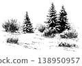 Winter Spruce Forest Clearing with Snow Covered Trees and Bushes Ink Landscape Sketch 138950957