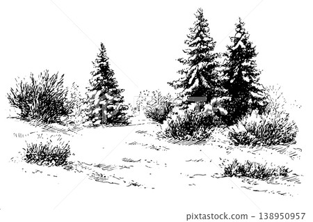 Winter Spruce Forest Clearing with Snow Covered Trees and Bushes Ink Landscape Sketch Winter Spruce Forest Clearing with Snow Covered Trees and Bushes Ink Landscape Sketch 138950957