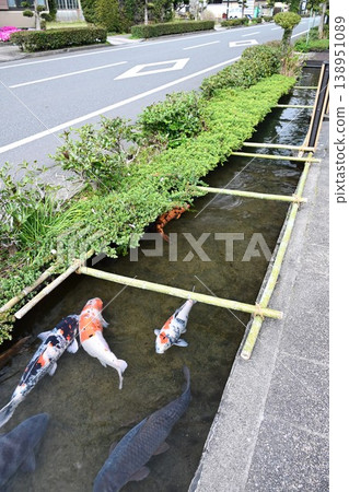知覽庭園和清溪水道:日本文化遺產,被稱為“薩摩小京都” 知覽庭園和清溪水道:日本文化遺產,被稱為“薩摩小京都” 138951089