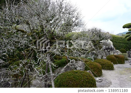 知覽庭園,薩摩藩的“小京都”,日本文化遺產 知覽庭園,薩摩藩的“小京都”,日本文化遺產 138951180