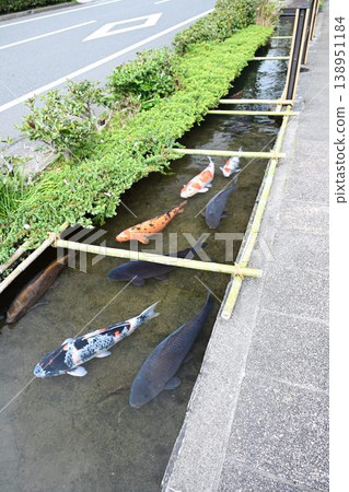 知覽庭園和清溪水道：日本文化遺產，被稱為“薩摩小京都” 138951184