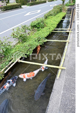 知覽庭園和清溪水道:日本文化遺產,被稱為“薩摩小京都” 知覽庭園和清溪水道:日本文化遺產,被稱為“薩摩小京都” 138951186