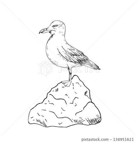 Vector seagull sit on stone. Hand painted linear bird on rock illustration. Graphic monochrome sketch isolated on background. For designers, prints, logo, icon, menu, postcards, holiday, covers 138951621