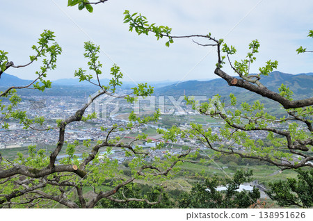 View of the Kinokawa River and Kudoyama Bridge from a persimmon orchard near the observation deck (Koyasan-cho Ishimichi) [Kudoyama-cho, Wakayama Prefecture] 138951626