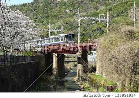 Yamanakadani, a post town on the Kishu Kaido road, boasts a magnificent row of approximately 1,000 cherry trees, and is located near Yamanakadani Station on the Hanwa Line. Yamanakadani, a post town on the Kishu Kaido road, boasts a magnificent row of approximately 1,000 cherry trees, and is located near Yamanakadani Station on the Hanwa Line. 138951934