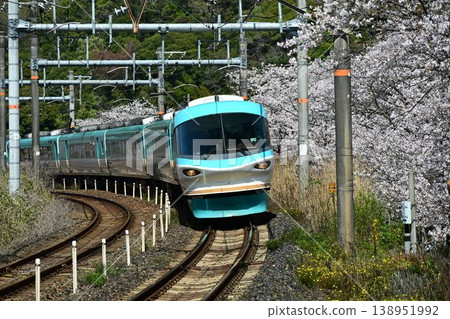 Yamanakadani: A magnificent row of approximately 1,000 cherry trees; an express train passing through Yamanakadani Station on the Hanwa Line. 138951992