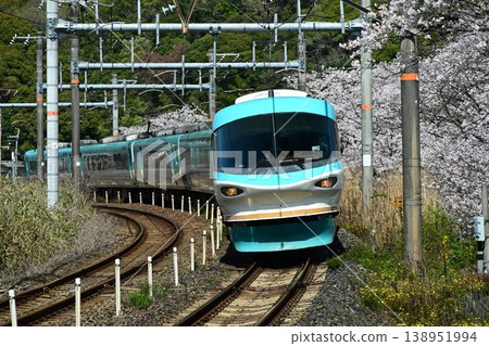 山中谷：一排約 1000 棵櫻花樹，景色壯麗；一列特快列車駛過阪和線的山中谷站。 138951994