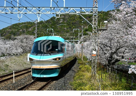 山中谷:一排約 1000 棵櫻花樹,景色壯麗;一列特快列車駛過阪和線的山中谷站。 山中谷:一排約 1000 棵櫻花樹,景色壯麗;一列特快列車駛過阪和線的山中谷站。 138951995