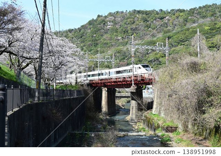 山中谷:一排約 1000 棵櫻花樹,景色壯麗;一列特快列車駛過阪和線的山中谷站。 山中谷:一排約 1000 棵櫻花樹,景色壯麗;一列特快列車駛過阪和線的山中谷站。 138951998