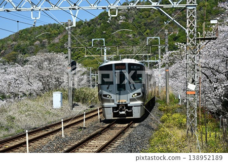 Yamanakadani, a post town on the Kishu Kaido road, boasts a magnificent row of approximately 1,000 cherry trees, and is located near Yamanakadani Station on the Hanwa Line. Yamanakadani, a post town on the Kishu Kaido road, boasts a magnificent row of approximately 1,000 cherry trees, and is located near Yamanakadani Station on the Hanwa Line. 138952189