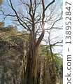The wig of Guntori Shrine 138952847