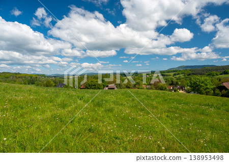 Summer meadow in Cesky Raj beneath Trosky castle with Baba and Panna towers, blooming wildflowers, lush green grass and scenic countryside landscape under blue sky Summer meadow in Cesky Raj beneath Trosky castle with Baba and Panna towers, blooming wildflowers, lush green grass and scenic countryside landscape under blue sky 138953498